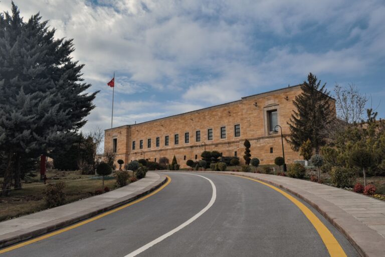 Constitutional Review of Emergency Decrees in Türkiye: Standards, Safeguards and Practical Remedies