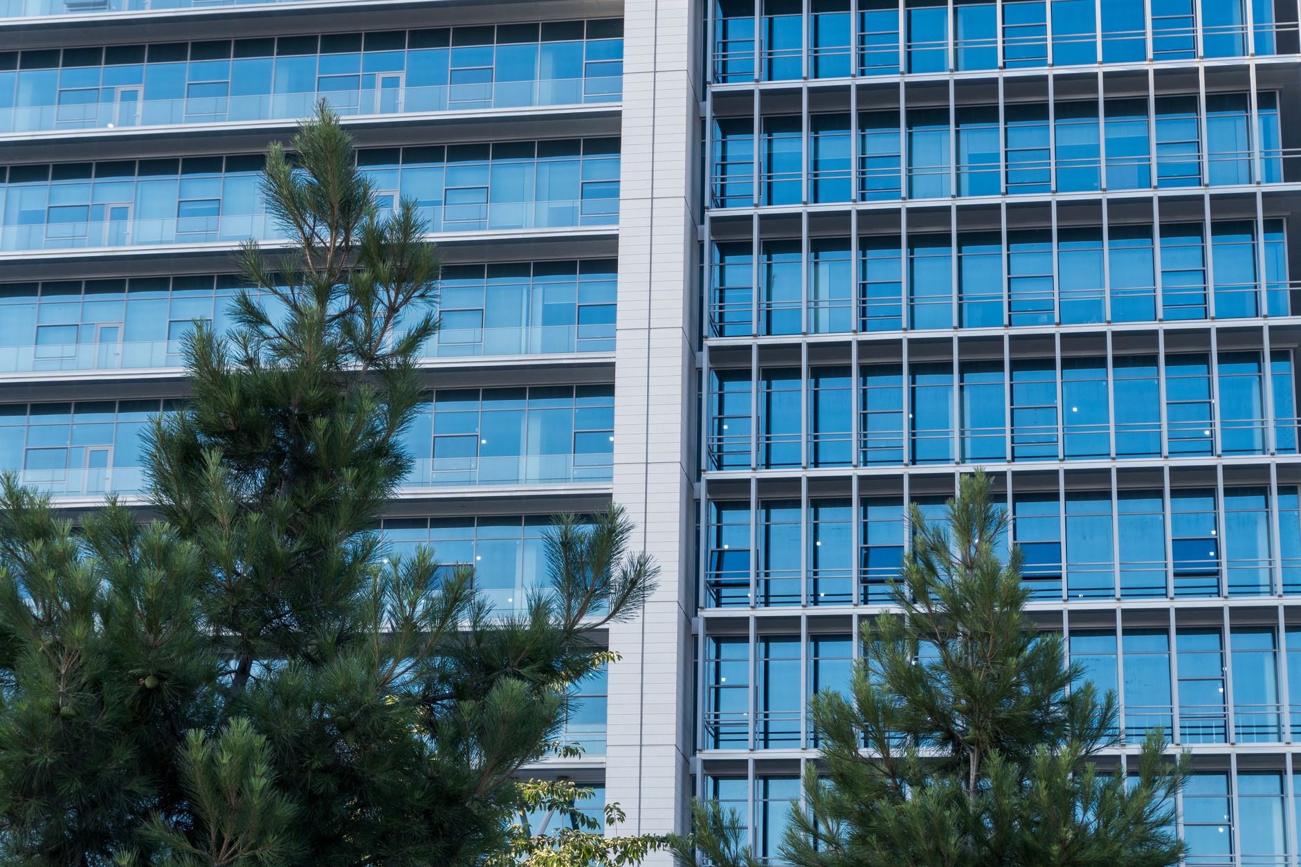 Green Bonds and Sustainable Finance: Legal Considerations for Turkish Issuers and Investors